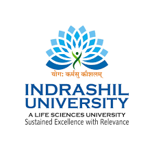 IU - Indrashil University logo